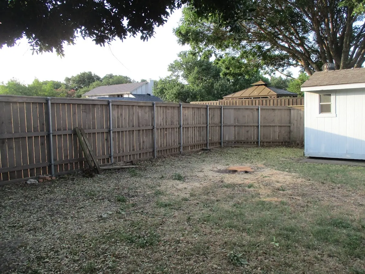 Cleared yard after professional tree removal in Elk Mountain
